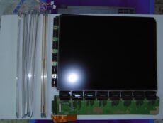Pantalla LCD Monitor Blizo Visio 500